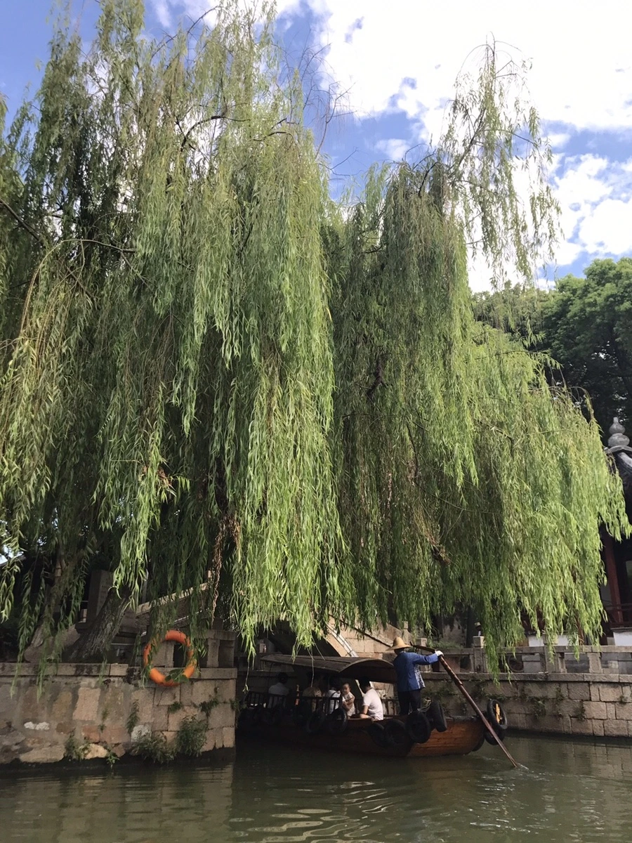 8058142.25644CD87E0AF2E6FC5F8ADBB2F447AB.17082108.jpg?type=w1