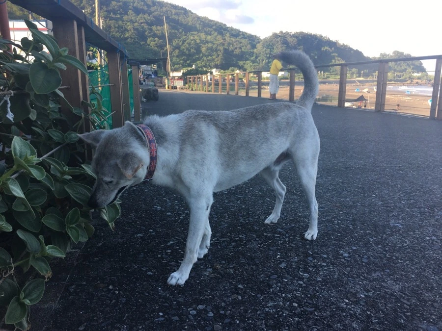 attachImage_3839892159.jpeg?type=w966