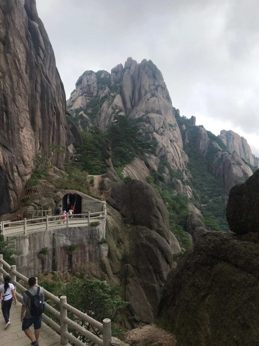 IMG_0832.jpg?type=w966