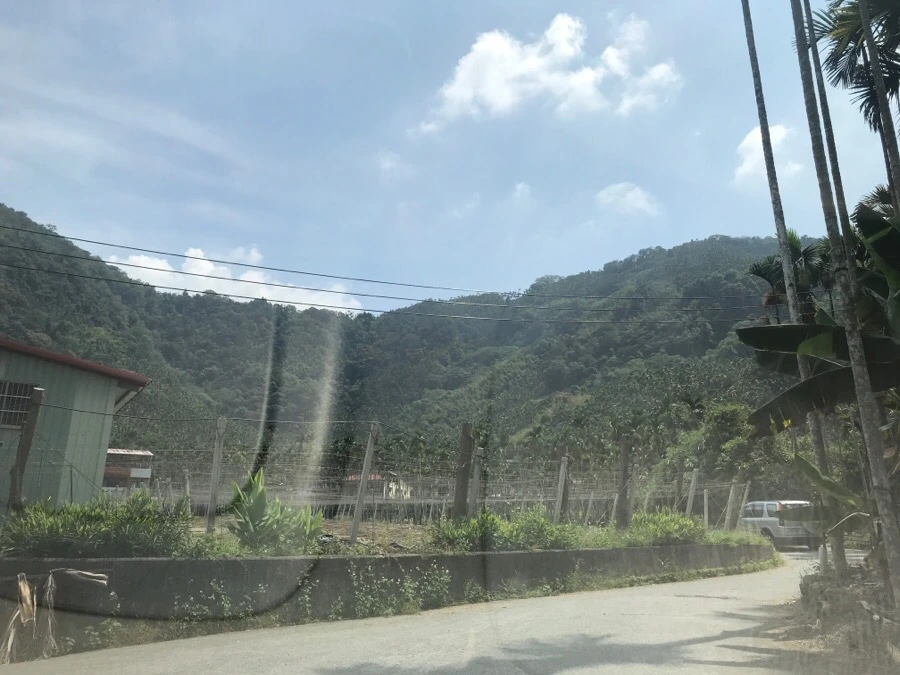 IMG_3209.jpg?type=w966