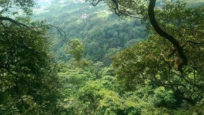 IMAG6003.jpg?type=w773