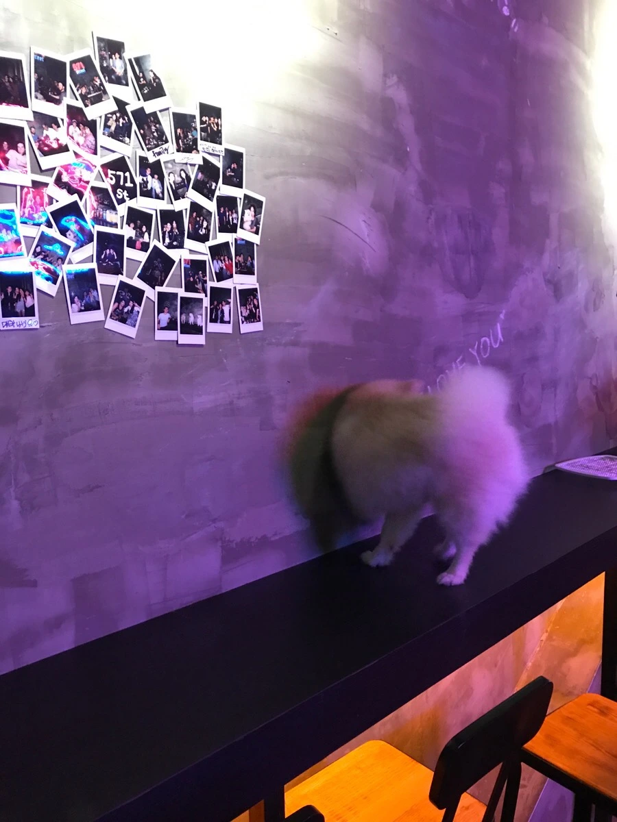 IMG_7598.jpg?type=w966