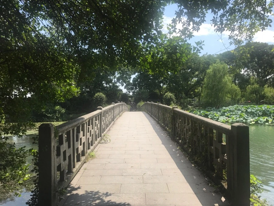 IMG_1187.jpg?type=w1