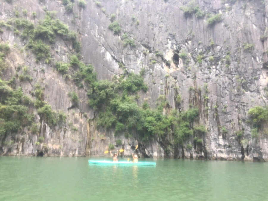 IMG_3130.JPG?type=w1