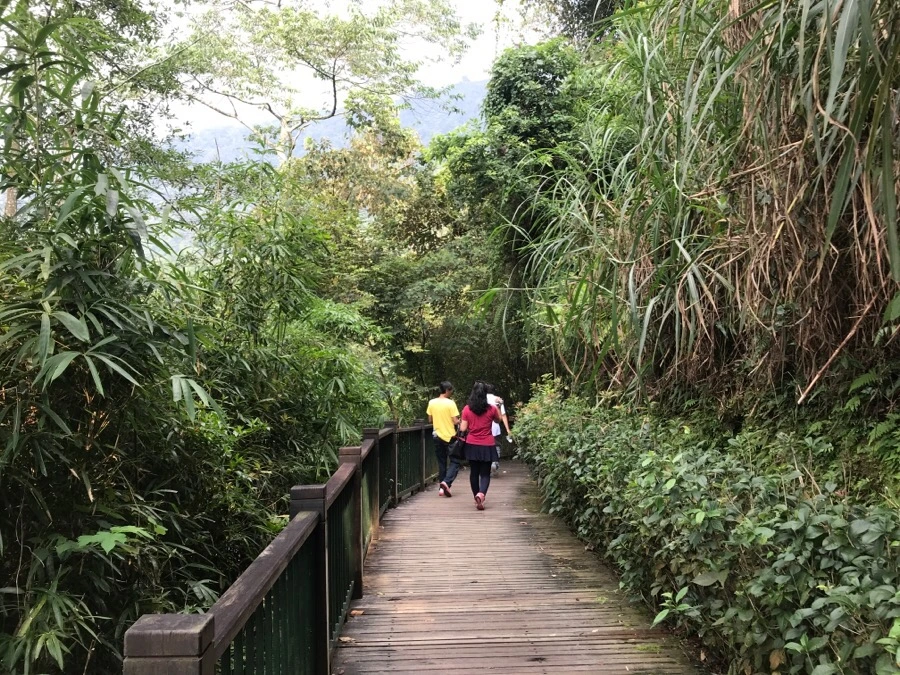 IMG_2980.jpg?type=w966