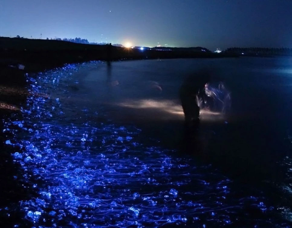 1464674027-21-org.jpg?type=w966