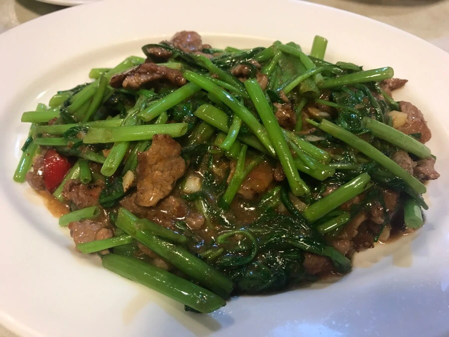 IMG_7867.jpg?type=w966