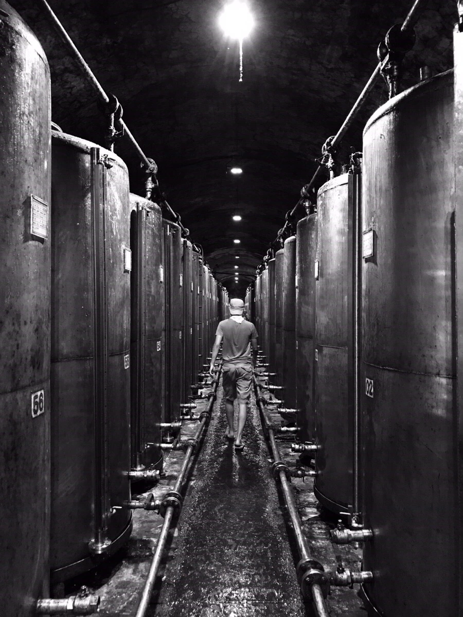 IMG_8690.jpg?type=w966