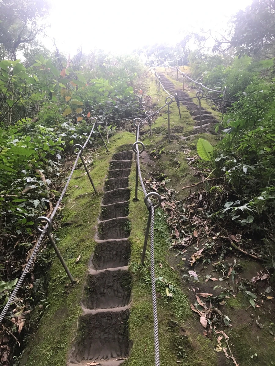 IMG_1044.jpg?type=w966