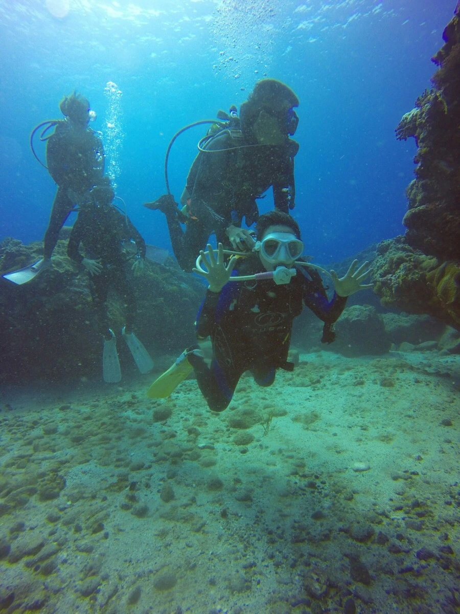 IMG_3587.jpg?type=w966