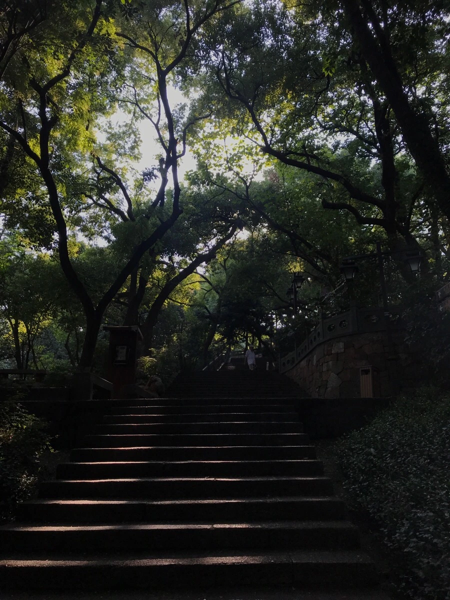 IMG_1305.jpg?type=w1