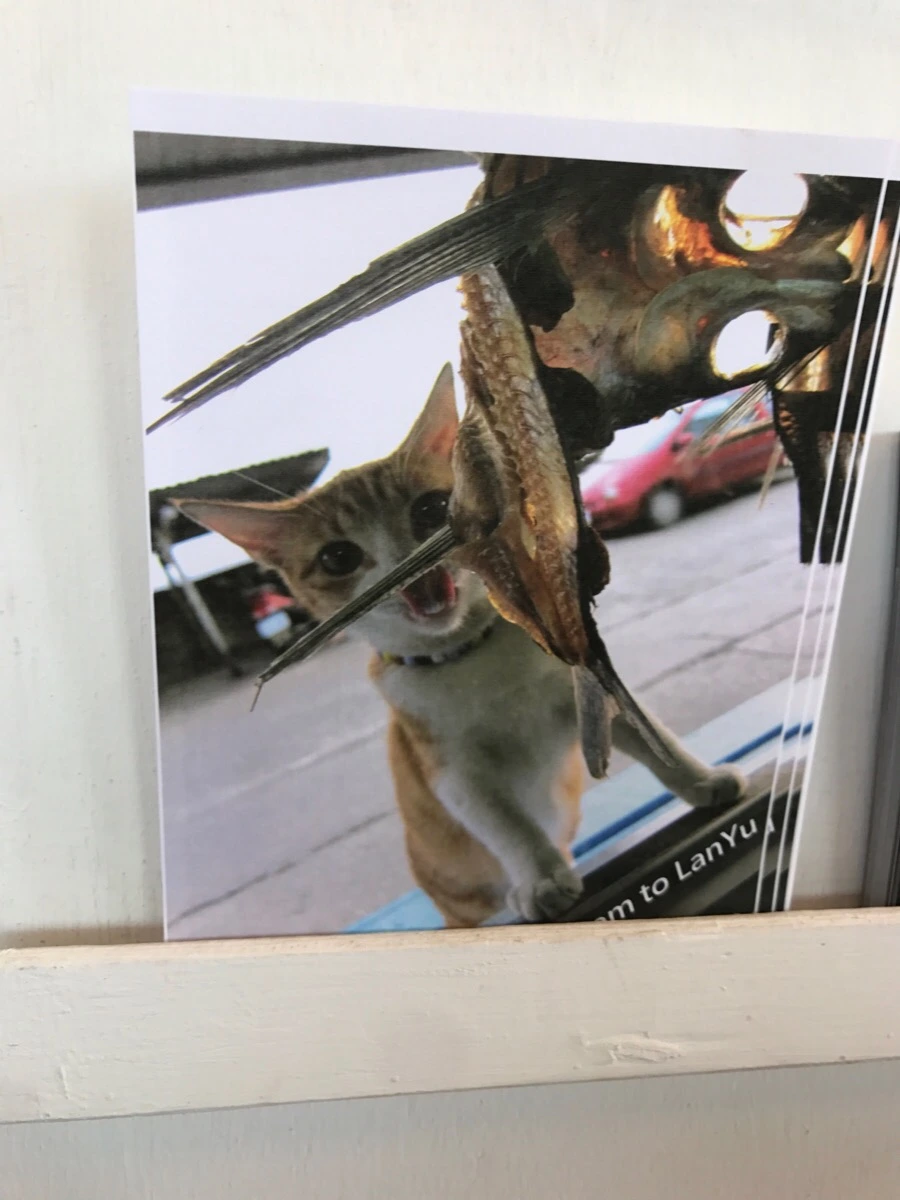 IMG_3739.jpg?type=w966