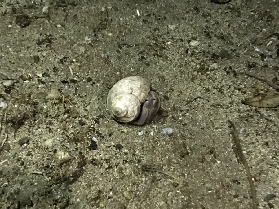 IMG_1456.jpg?type=w966