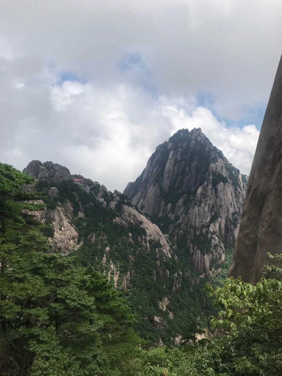 IMG_0872.jpg?type=w966