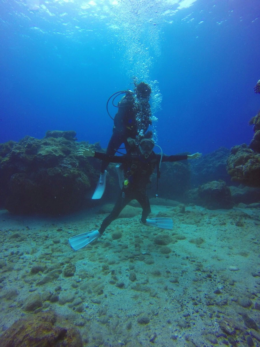 IMG_3584.jpg?type=w966