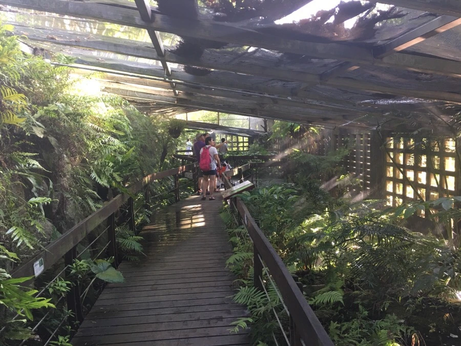 attachImage_4264698818.jpeg?type=w966