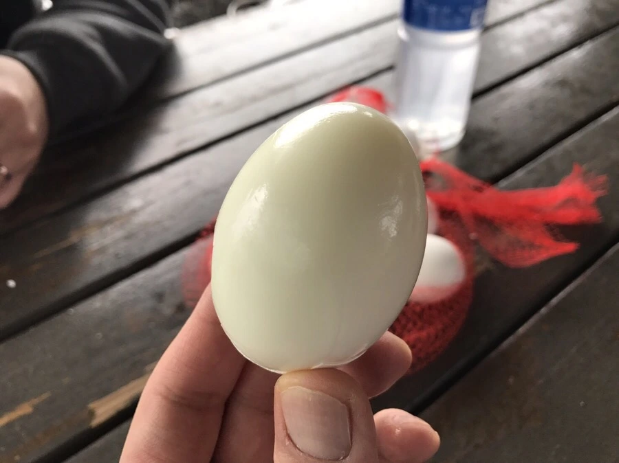 IMG_1937.jpg?type=w966