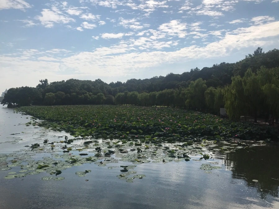 IMG_1107.jpg?type=w966