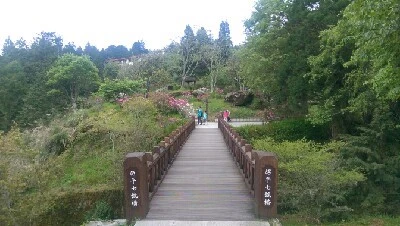 IMAG4906.jpg?type=w773