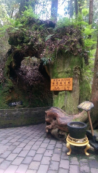 IMAG4957.jpg?type=w773