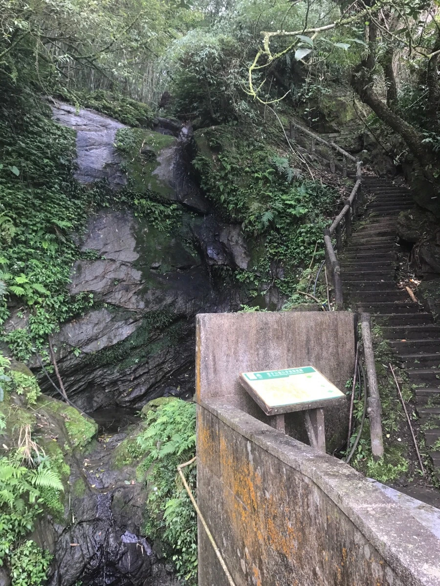 IMG_0973.jpg?type=w966