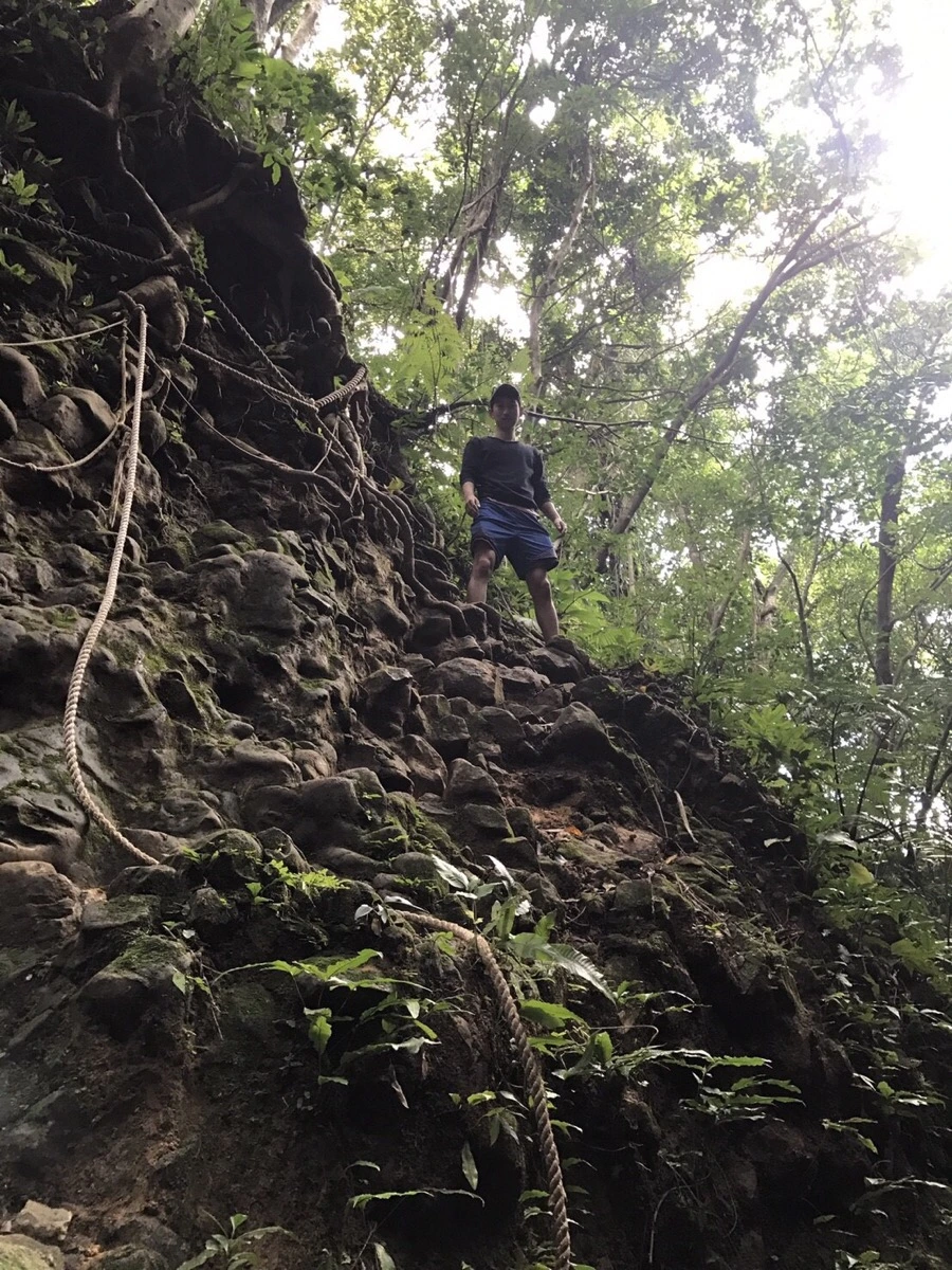 IMG_4065.jpg?type=w966