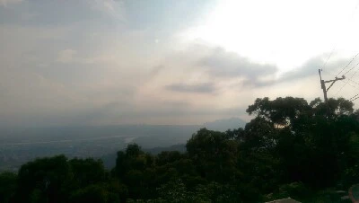 IMAG5993.jpg?type=w773