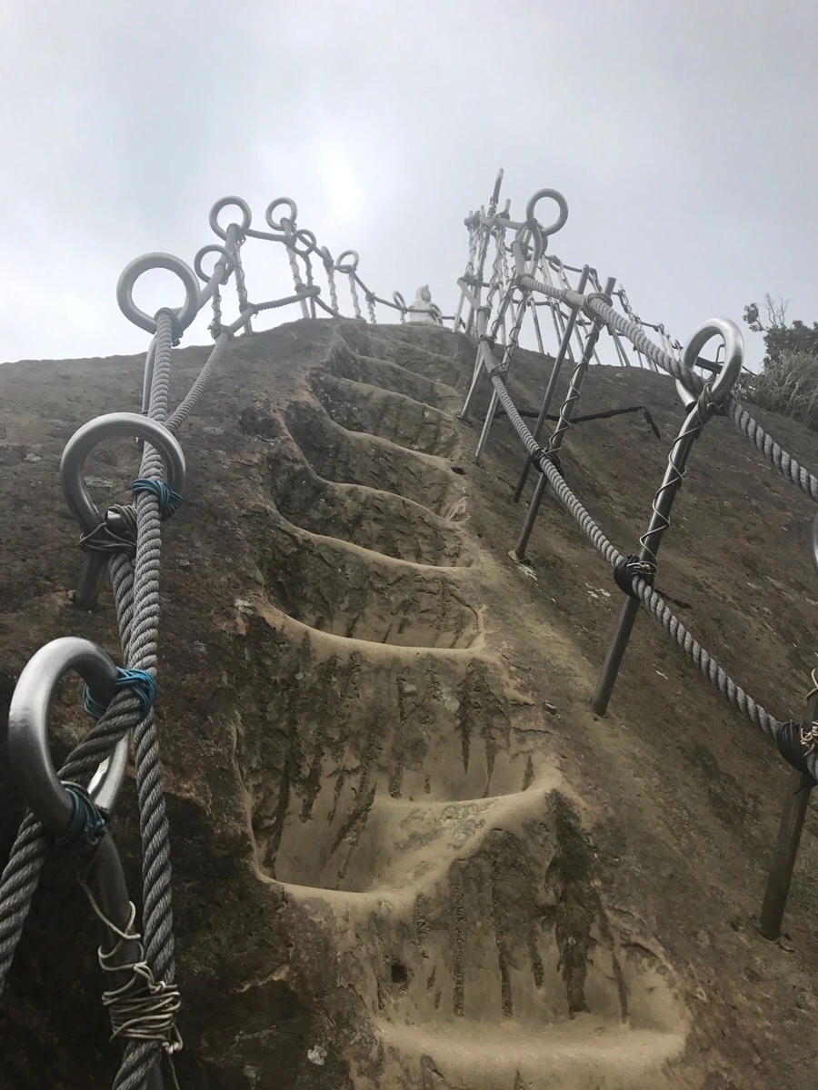 IMG_0995.jpg?type=w966