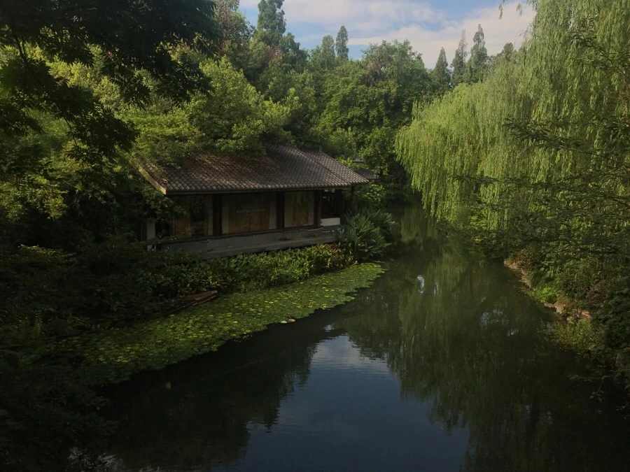 IMG_1154.jpg?type=w1