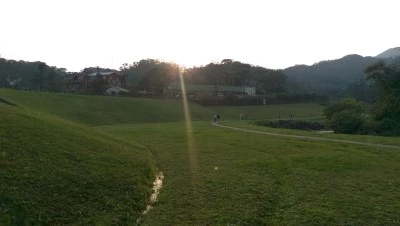 IMAG4186.jpg?type=w2