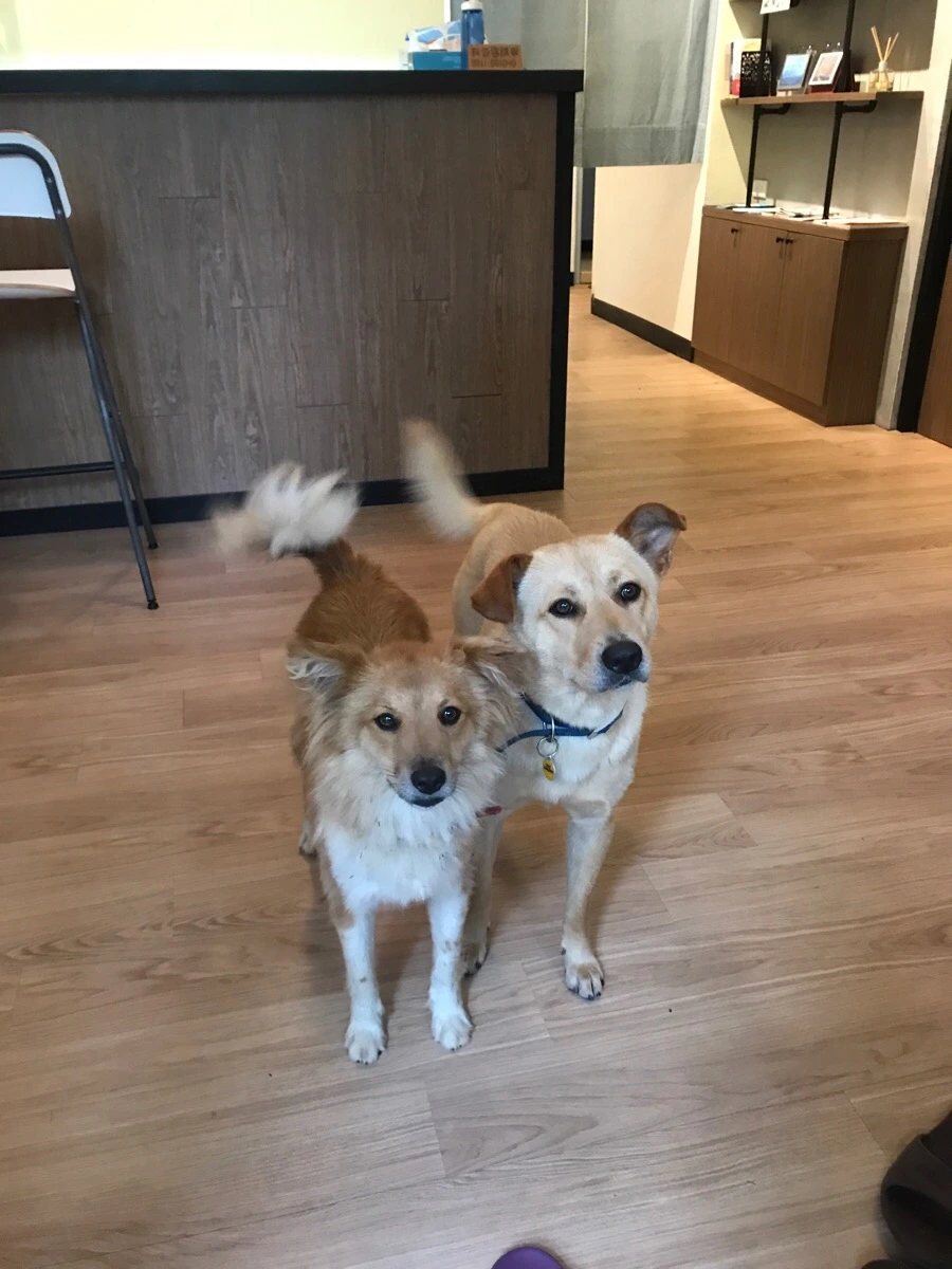 IMG_8250.jpg?type=w966