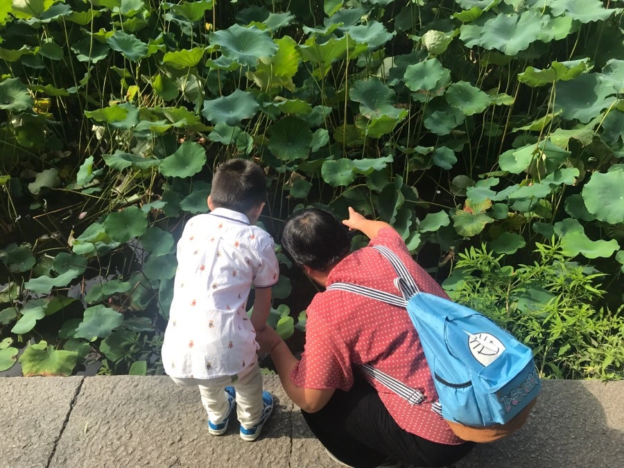 IMG_1130.jpg?type=w966