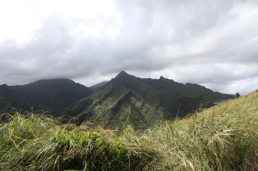 IMG_5299.JPG?type=w1