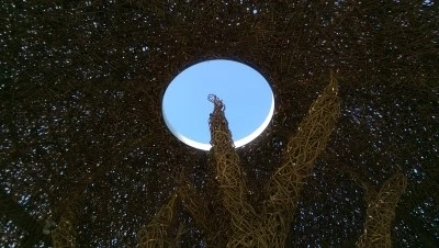 IMAG3452.jpg?type=w2