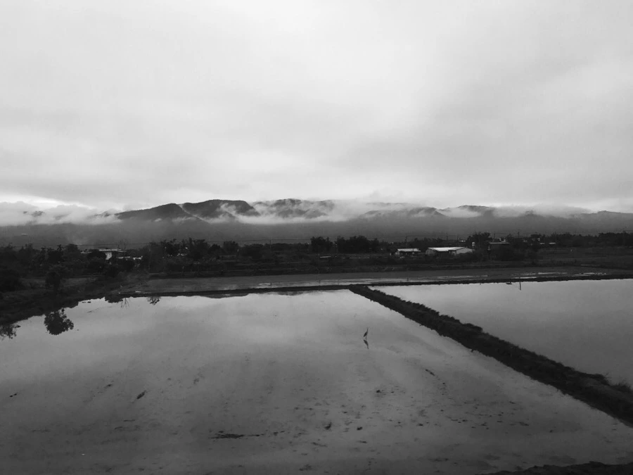 IMG_1348.jpg?type=w966