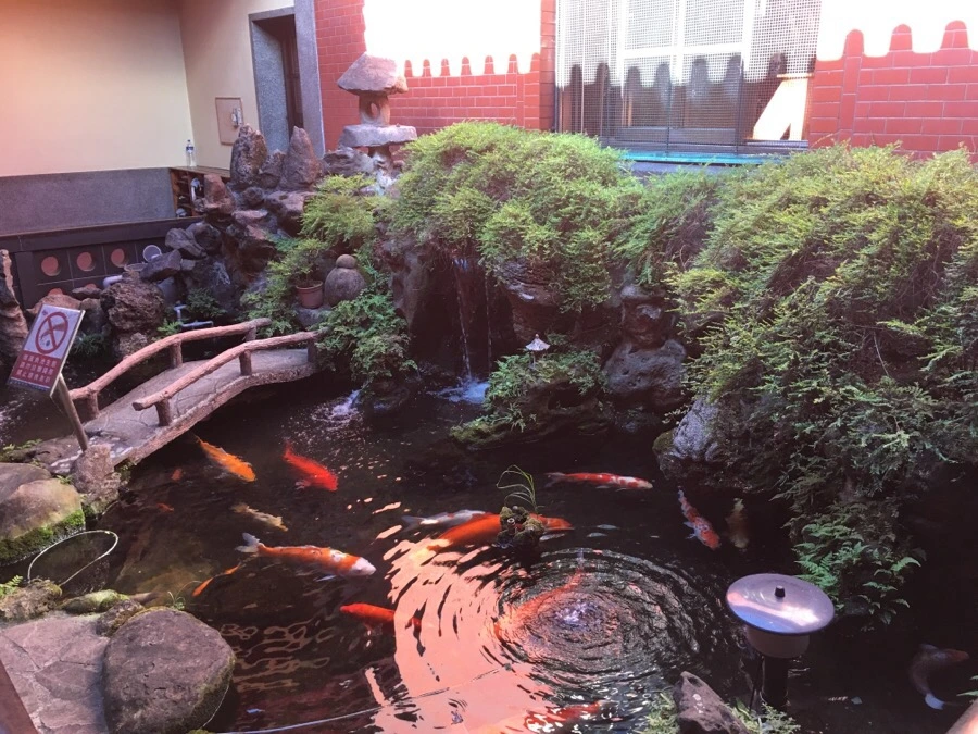 attachImage_248630142.jpeg?type=w966