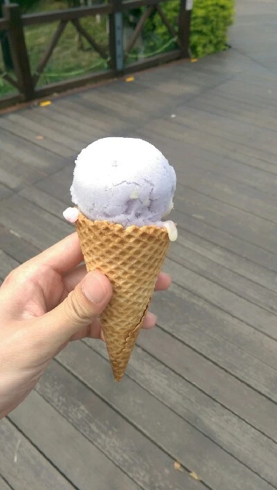 IMAG4766.jpg?type=w773