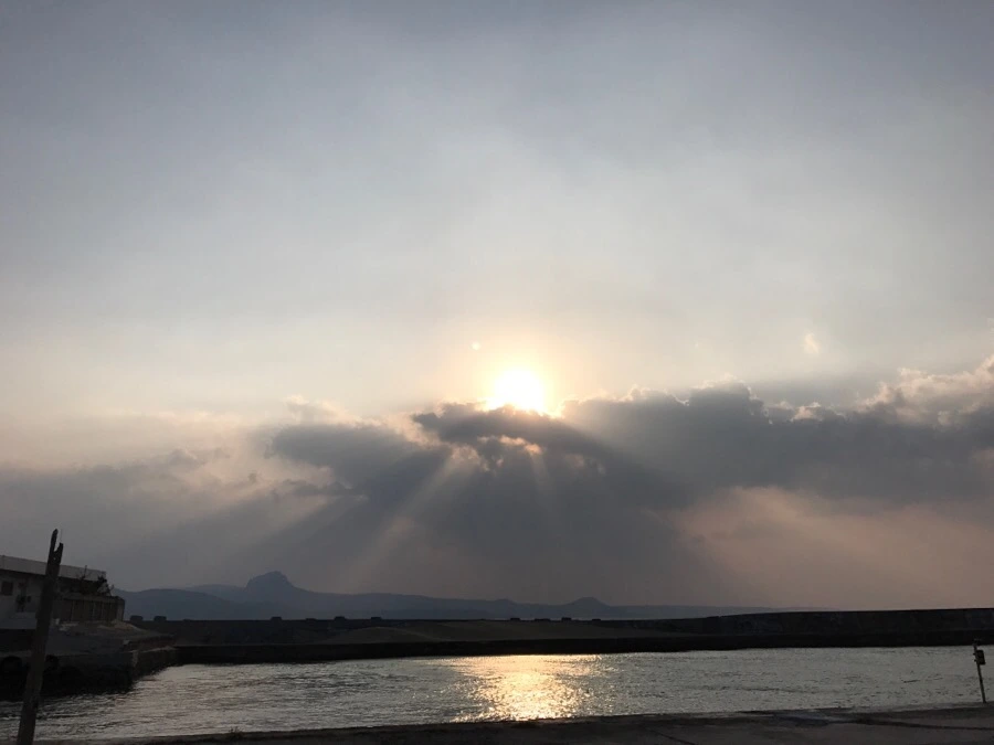 IMG_3359.jpg?type=w966