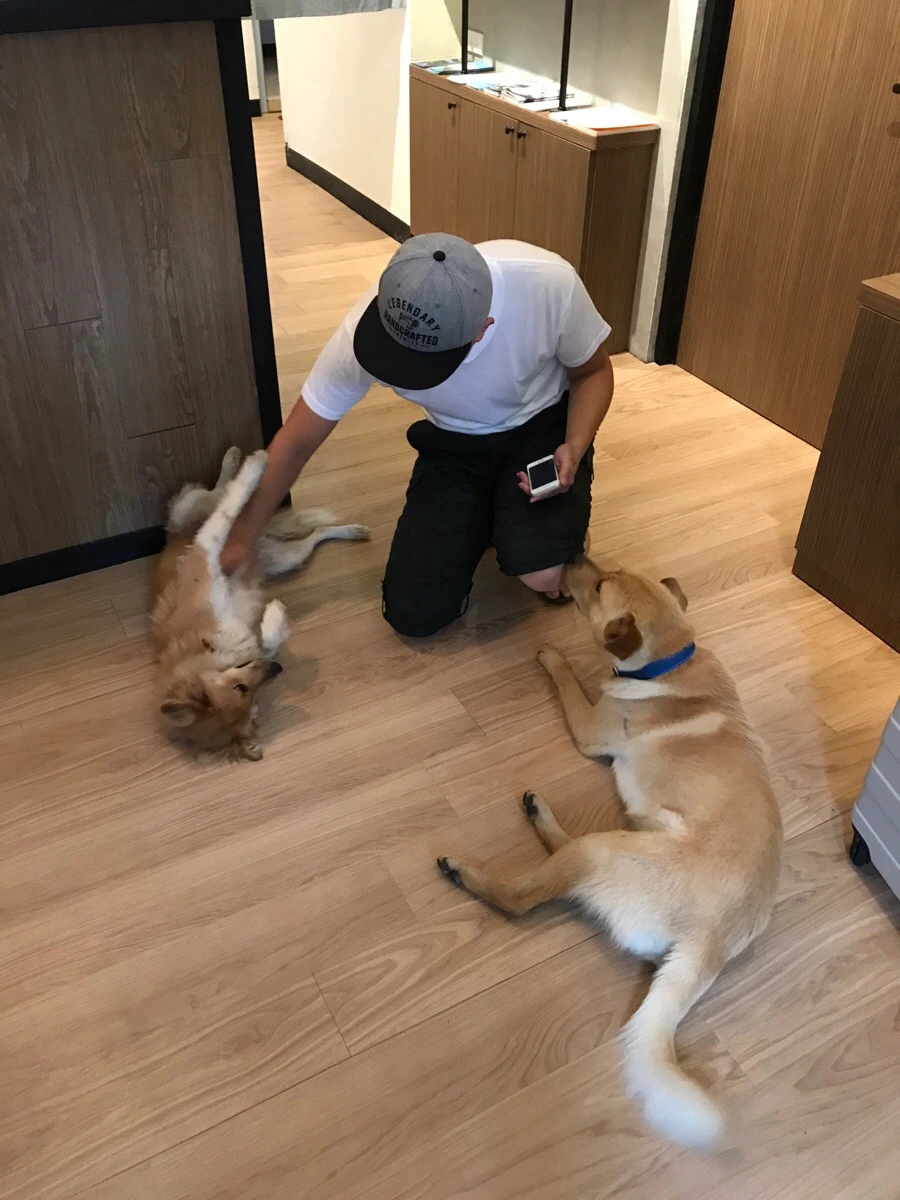 IMG_8242.jpg?type=w966