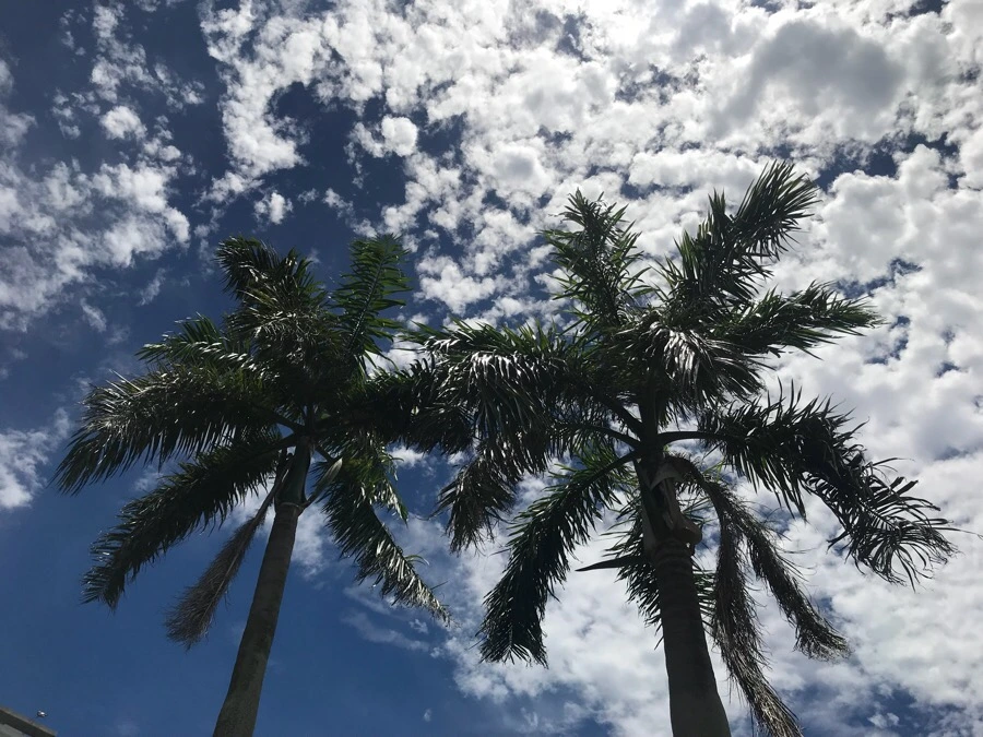 IMG_9897.jpg?type=w966