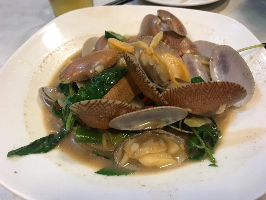 IMG_7866.jpg?type=w966