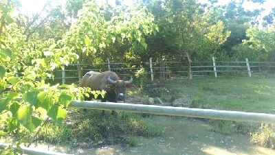 IMAG6219.jpg?type=w773