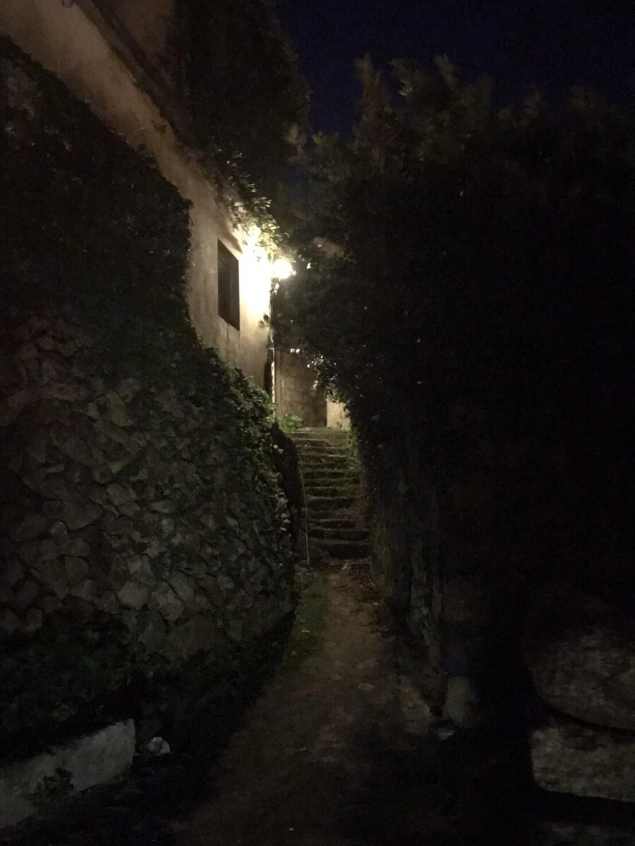 IMG_9938.jpg?type=w966