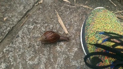 IMAG6014.jpg?type=w773