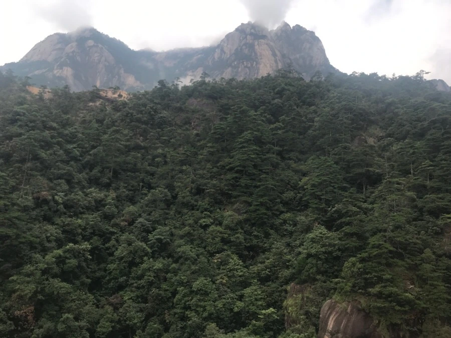 IMG_0697.jpg?type=w966