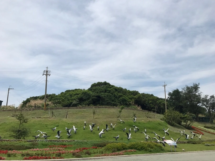 IMG_8419.jpg?type=w966