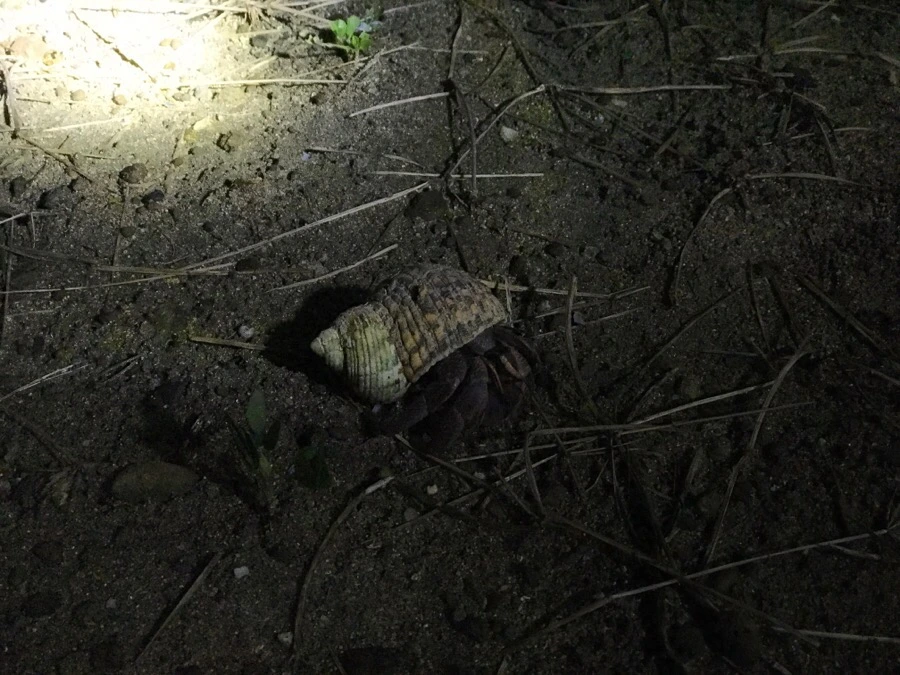 IMG_1454.jpg?type=w966