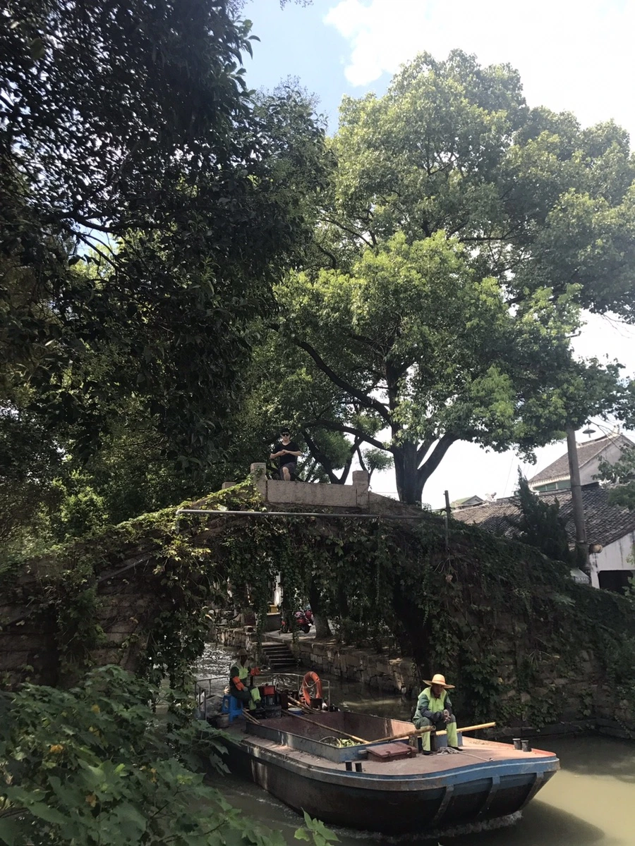 8058142.724BB25179EEF0AFE7B4D32F6B36FE38.17082108.jpg?type=w1