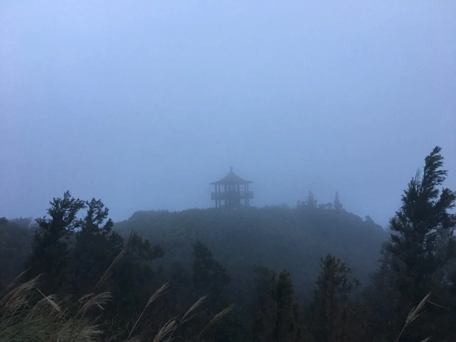 IMG_5427.JPG?type=w966