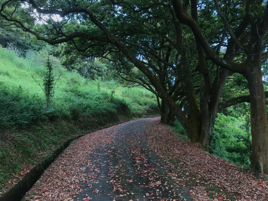 IMG_3214.jpg?type=w966